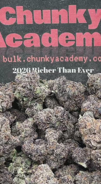 #EA492 - Citrus Cream Soda (Indica)