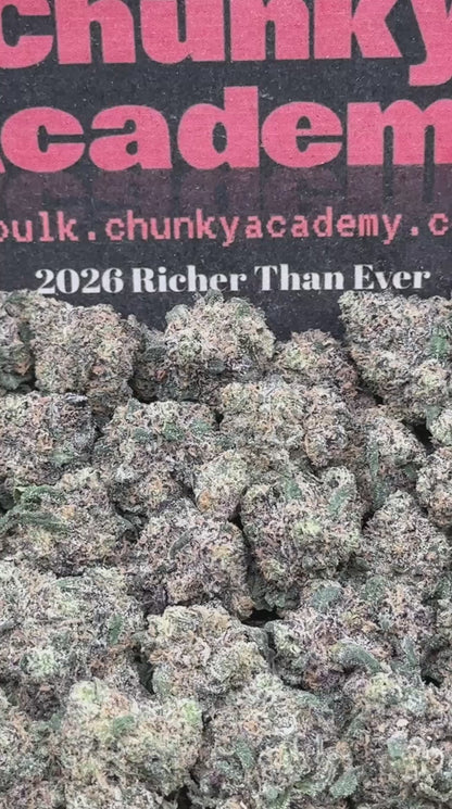 #KAM309 - Sugar Rush SM (Hybrid)