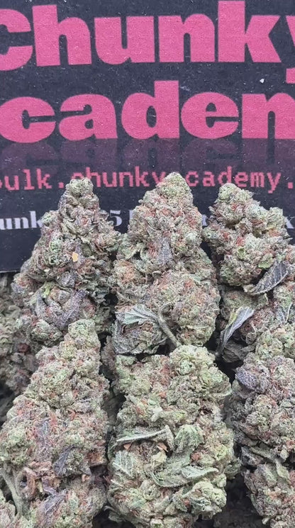 #B831 - Grapefruit Rush (Hybrid)