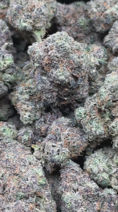 #EA616 - Peach Sunset (Hybrid)