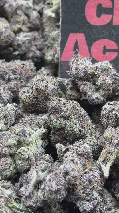 #A023 - Citrus Royale (Hybrid)