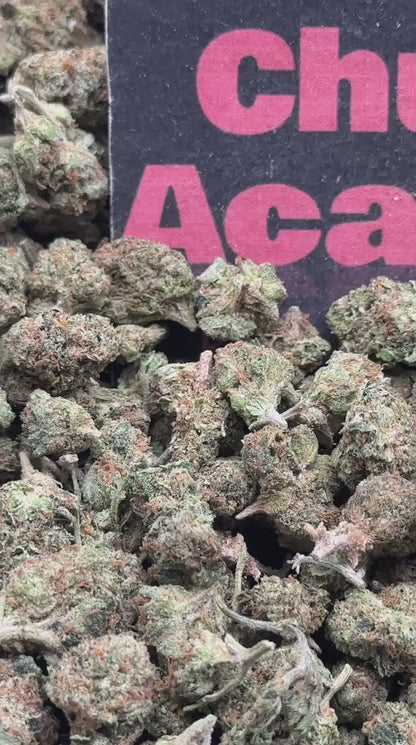 #S071 - Pine Hollow SM (Indica)