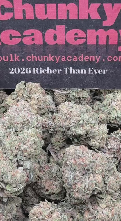 #IP003 - Cedar Market (Hybrid)