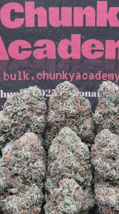 #IN526 - Bolo Runtz (Indica)