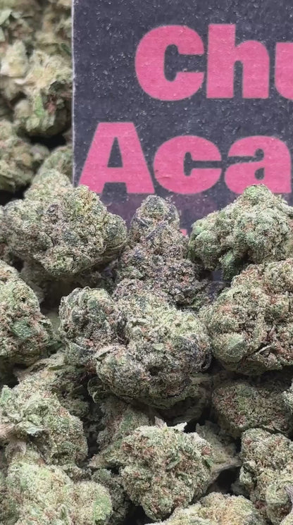 #B053 -Walnut Grove (Indica)