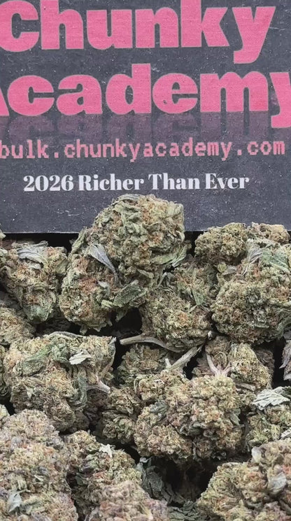 #FK094 - Silver Grove (Hybrid)