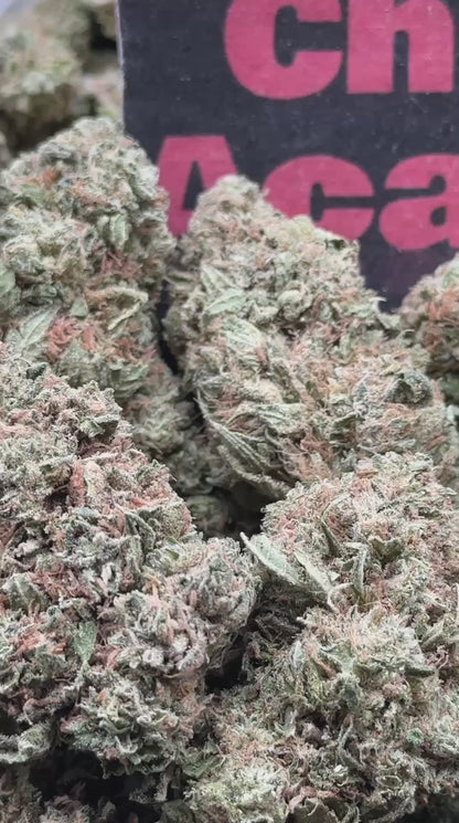 #B019- Granite Grove (Hybrid)
