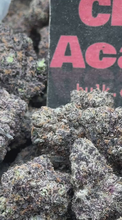 #A025 - Pink Gelato (Hybrid)