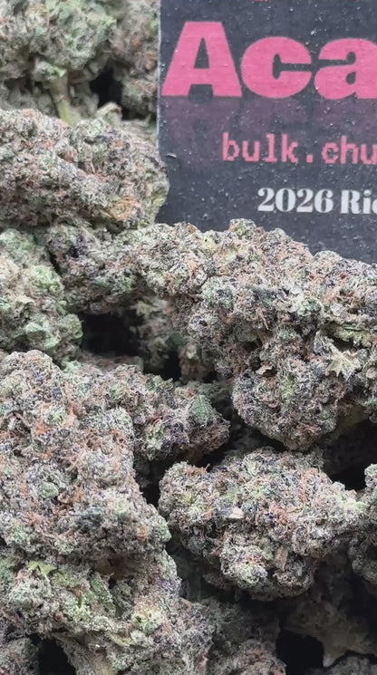 #EA615 - Cookies Velvet (Hybrid)