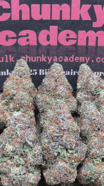 #AA387 - Tropicana Cooler (Sativa Hybrid)