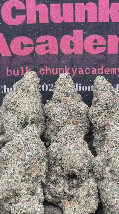 #AA483 - Grape Snowconez (Hybrid)