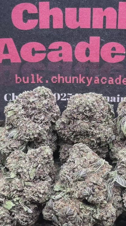 #L566 - Chai Tea (Hybrid)