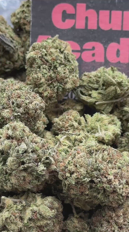 #IP003 - Forest Orchard (Indica)