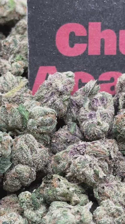 #S050 -Purple Cream SM (Hybrid)