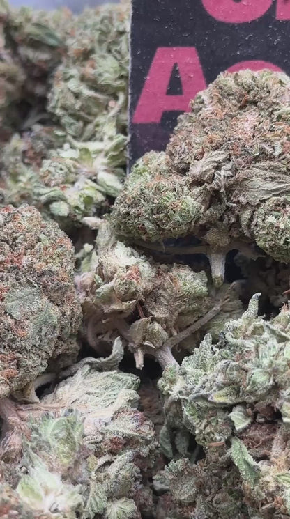 #L002 - Oak Hollow (Indica)