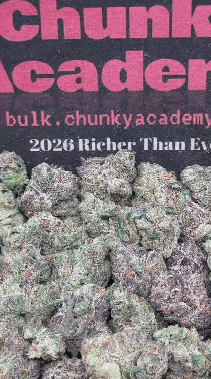 #SS512 - Mango Dream SM (Hybrid)