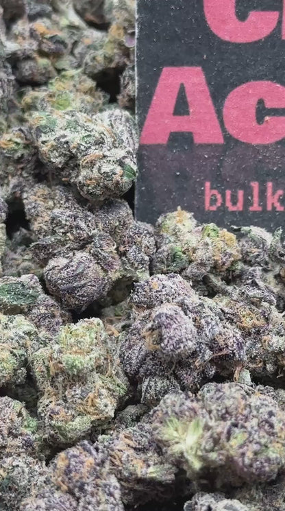#S032 - Golden Gelato SM (Hybrid)