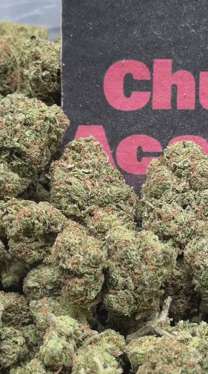 #B044 - Chestnut Market (Indica)