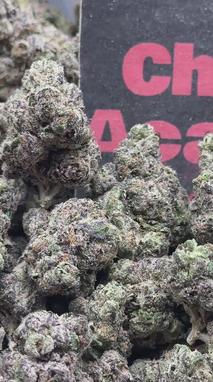 #A118 - Apricot Biscotti (Hybrid)