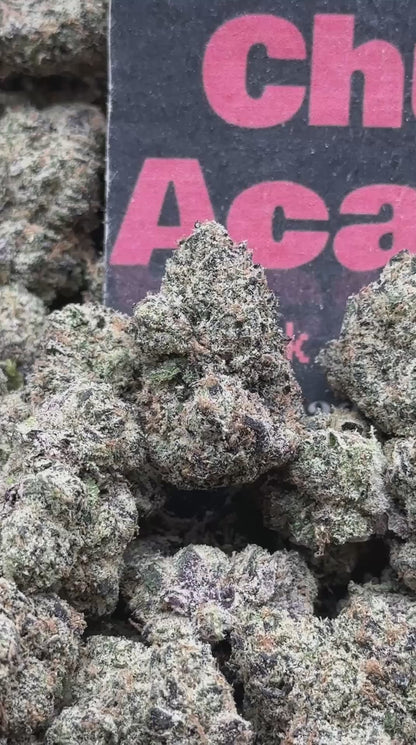 #CIN401 - Cherry Sherbet (Hybrid)