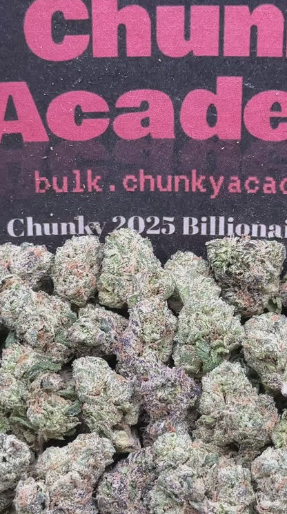 #SS230 - Golden Berries SM (Hybrid)