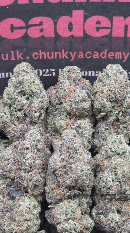 #AA560 - Margarita Gelato (Indica)