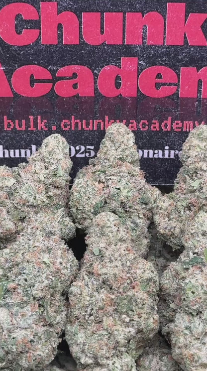 #AA343 - Grape Snowconez (Hybrid)