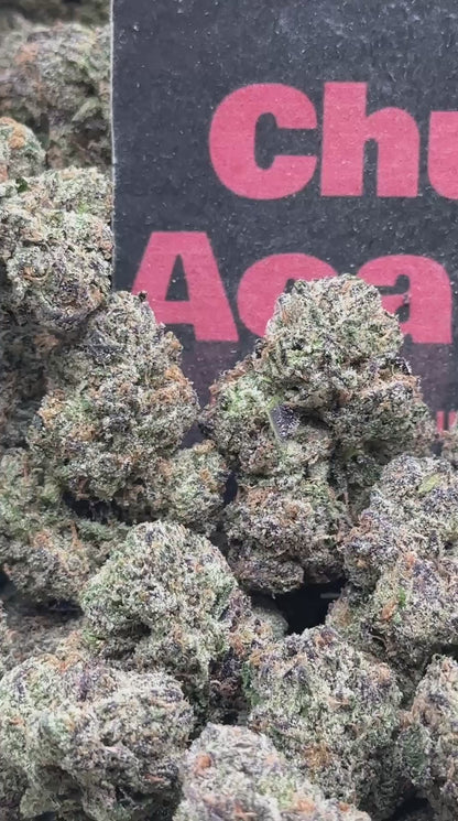 #A103 - Diamond Mochi (Hybrid)