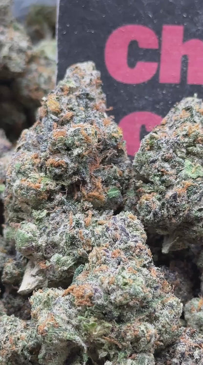#INGS120 - Sherbet Gas (Hybrid)